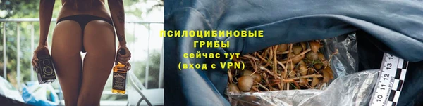 мдпв Медвежьегорск
