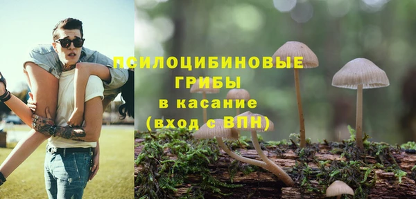 мдпв Медвежьегорск